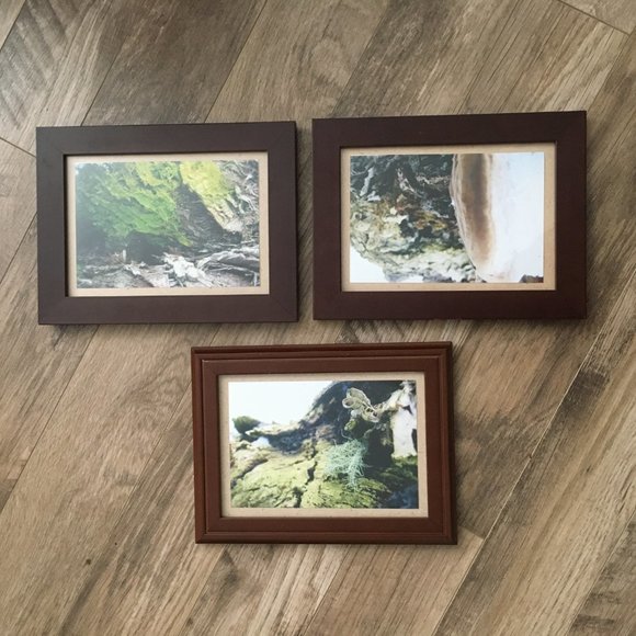 Three Modern Composite Wood Frame Lot With Canadian Moss Photos - Picture 9 of 9